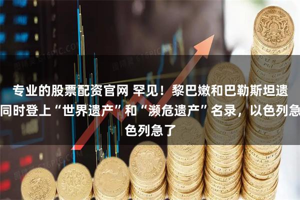 专业的股票配资官网 罕见！黎巴嫩和巴勒斯坦遗址同时登上“世界遗产”和“濒危遗产”名录，以色列急了